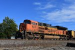 BNSF 9231 Roster shot